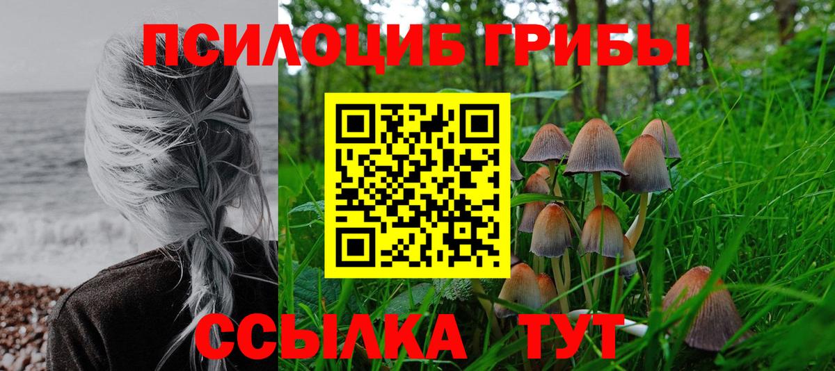 Омск  Галлюциногенные грибы ЛСД  Вход с VPN 